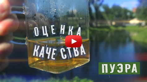  Как придать жасминовому чаю уникальные ароматы и вкусы 