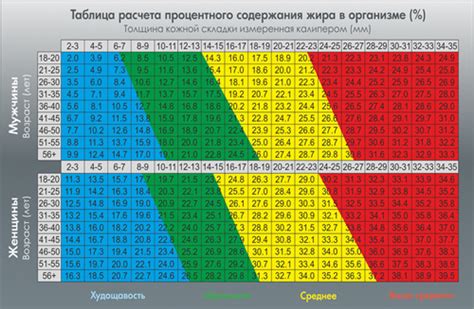  Основные способы измерения процента жировой ткани в организме: обзор и анализ
