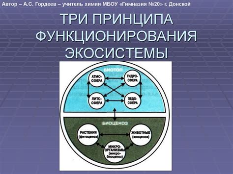  Принципы работы стандарта твин: понимание основного принципа функционирования 