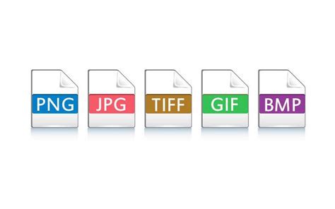  Разнообразные форматы файлов и их основное предназначение 