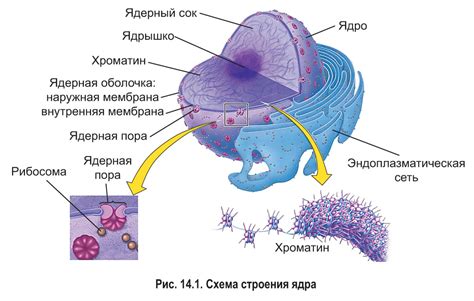  Ядро системы и его функции 